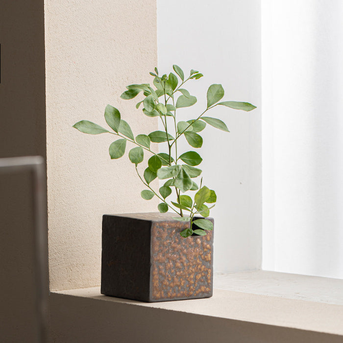 Cubic - Flower Ware