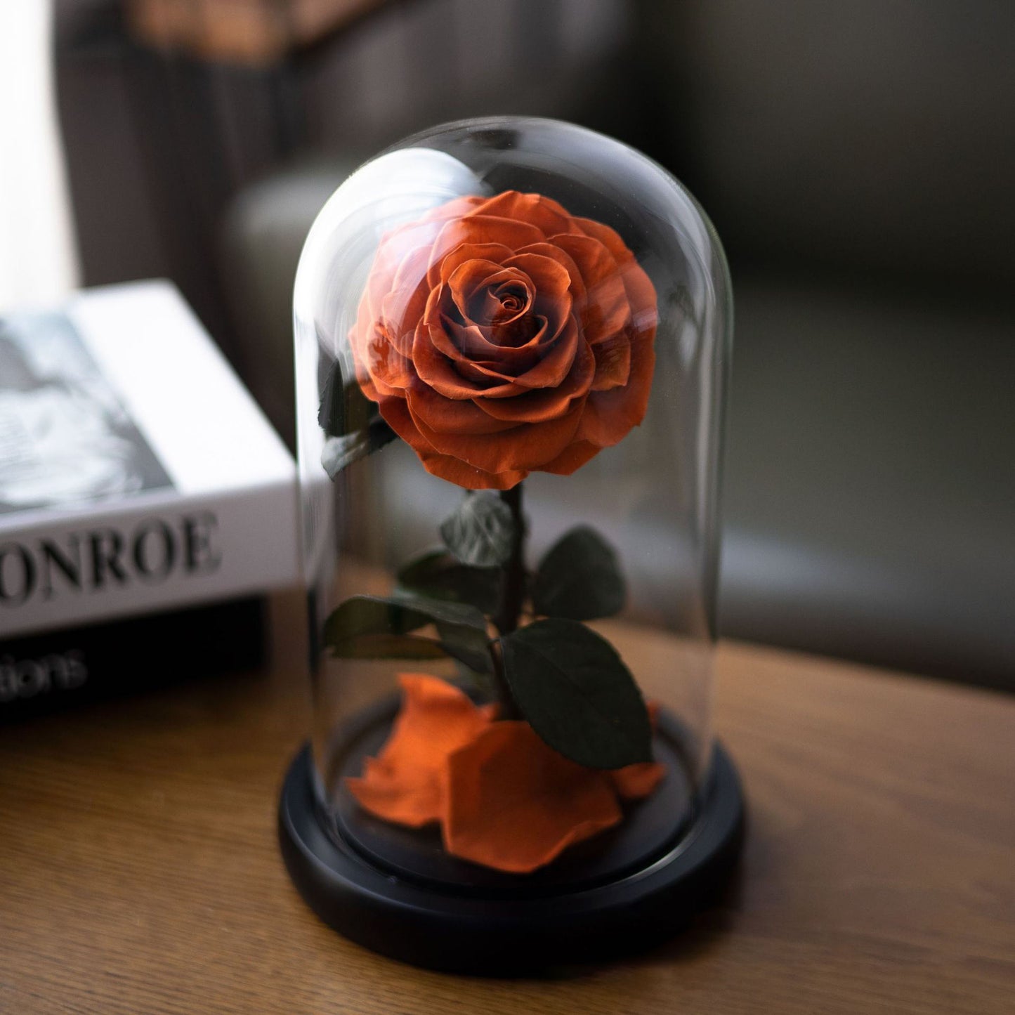 Mi Amor - Preserved Orange Rose