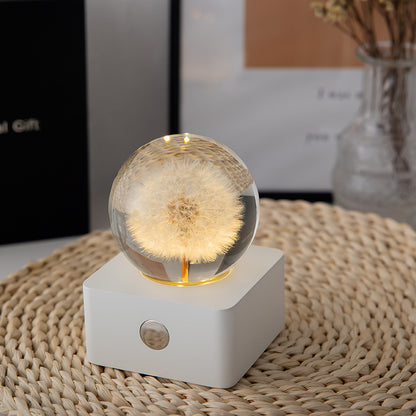 Dandelion Crystal Ball with Lights