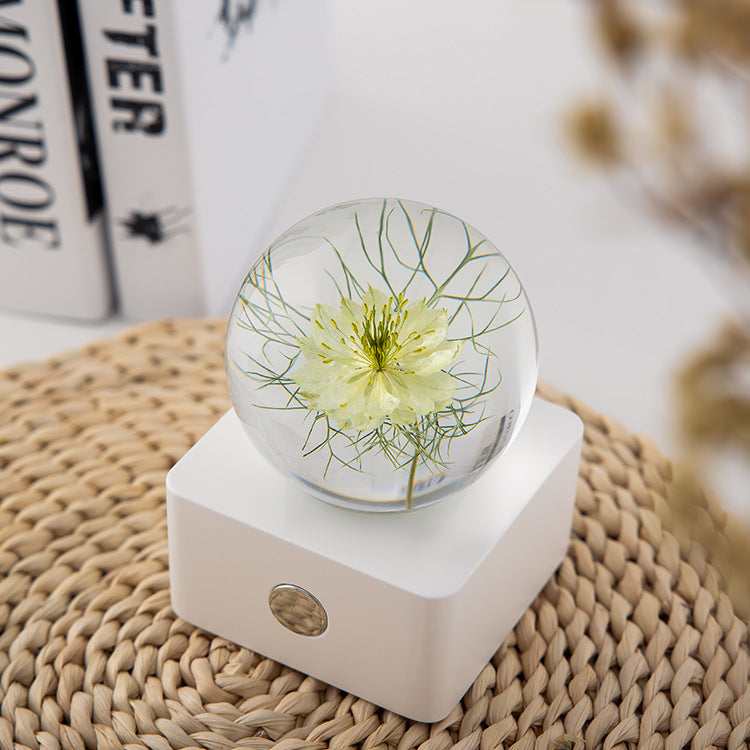 Fennel Flower Crystal Ball with Lights